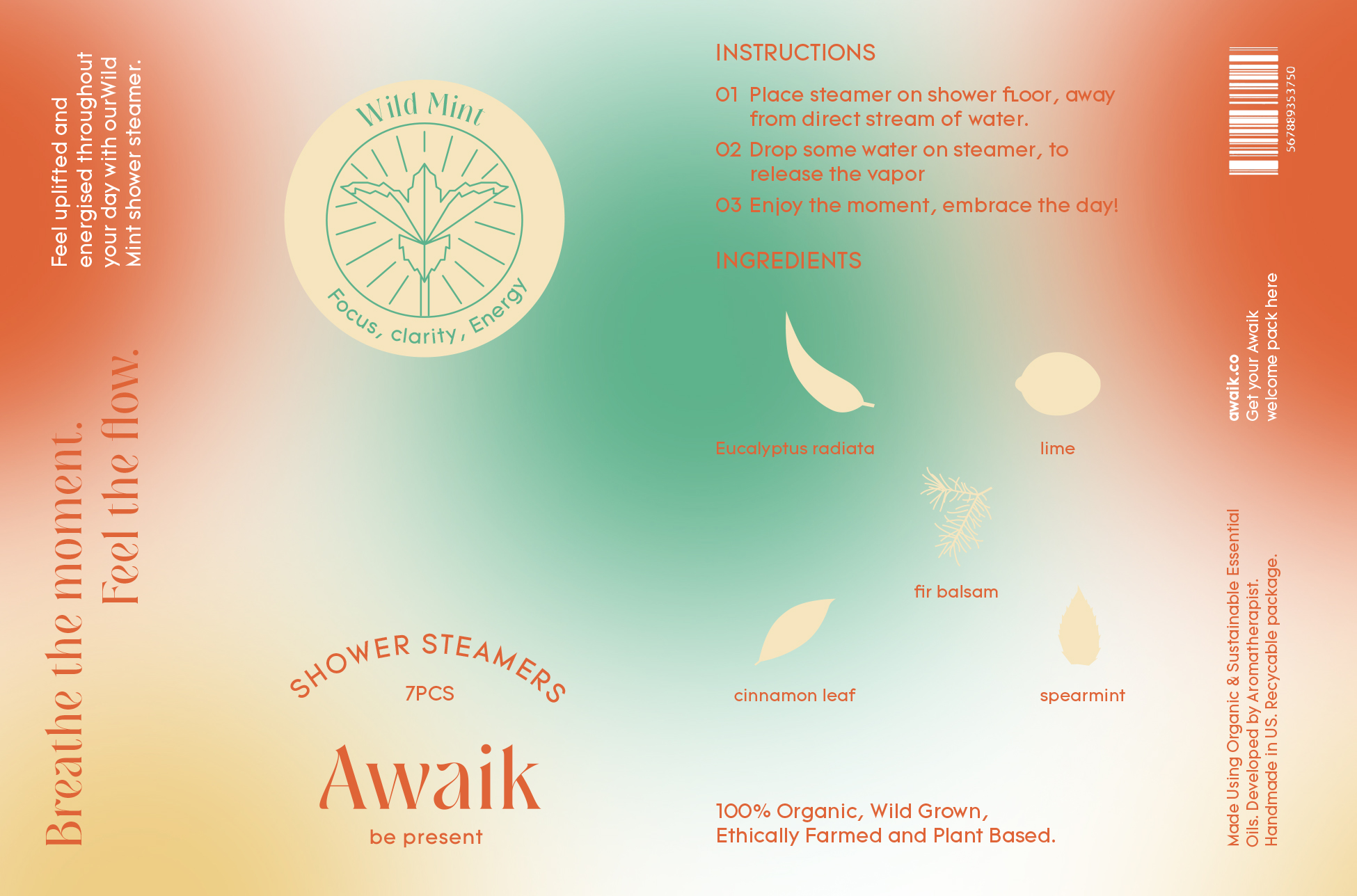 Awaik_4